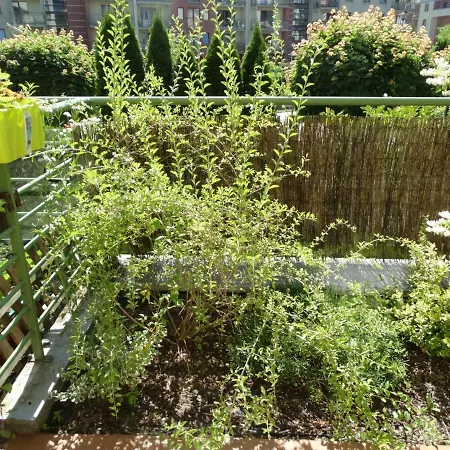 Apartament Apartament Zielony Taras