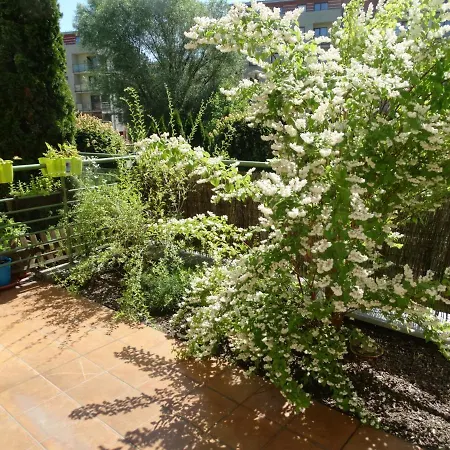 Apartament Zielony Taras Apartament